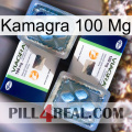 Kamagra 100 Mg viagra5